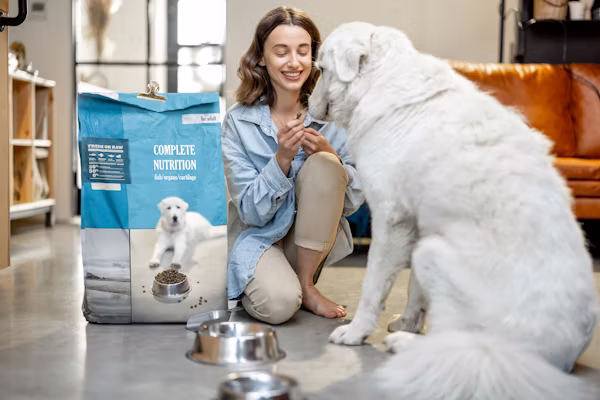 Best Dog Food for Weight Gain: 2026 Comprehensive Guide 