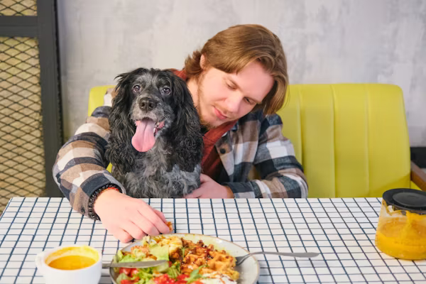 Best Dog Food for Picky Eaters: 2026 Mealtime Success Guide