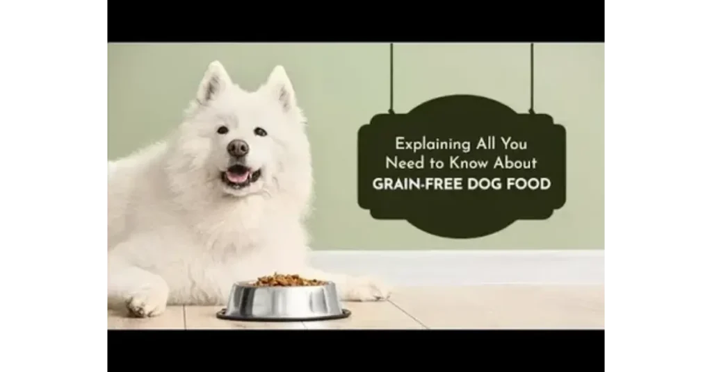 What Is Grain Free Dog Food