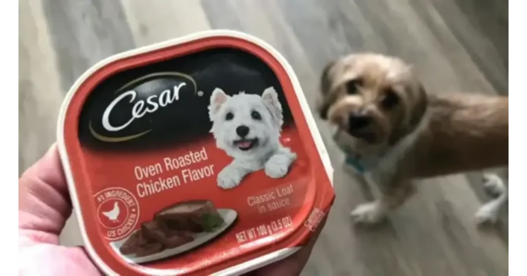 Cesar Dog Food