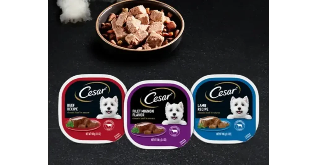 Best Cesar Dog Food Flavors Ranked