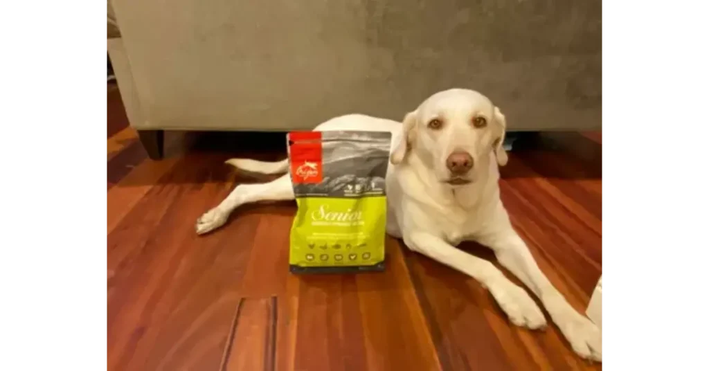 Orijen Senior Dog Food Ingredients Explained:
