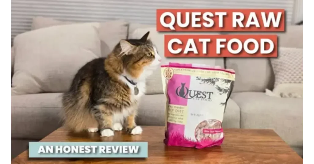 Quest Cat Food Recall: 2026 Safety Guide, Risks, and Refunds