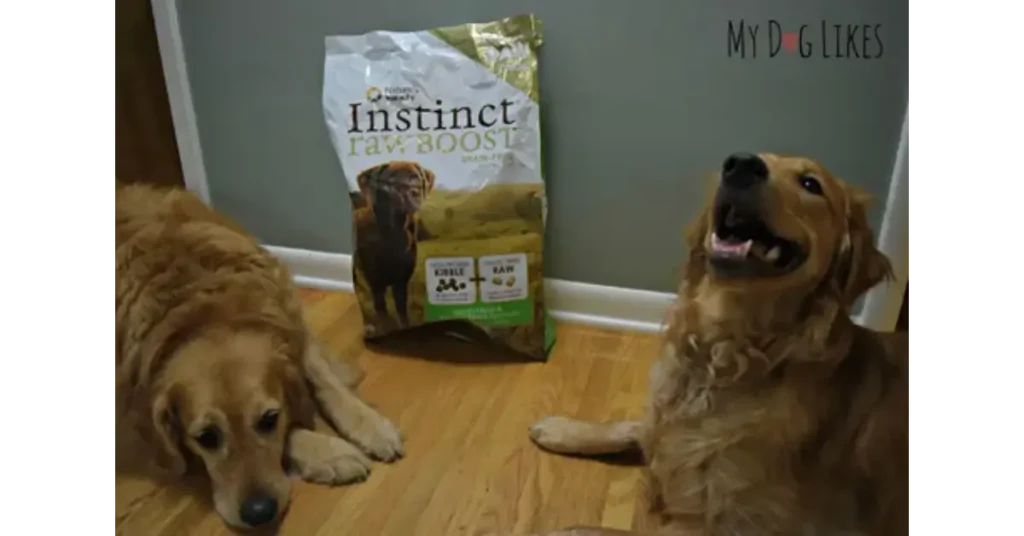 Instinct Raw Dog Food vs Kibble