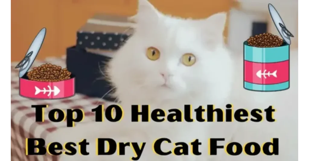 How to Choose the Best High Protein Cat Food