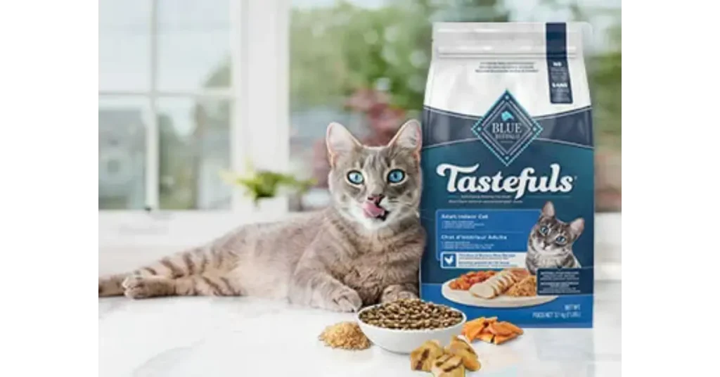 Hypoallergenic Cat Food Explained